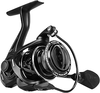 KastKing Zephyr Spinning Reel,Size 2000 Fishing Reel, Light Weight Ultra Smooth Powerful Spinning Fishing Reels