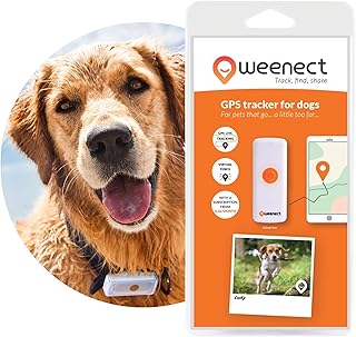 Weenect Dogs 2 - GPS tracker for dogs | Real-time GPS tracking | No distance limit | Smallest tracker on the market | Subscription required