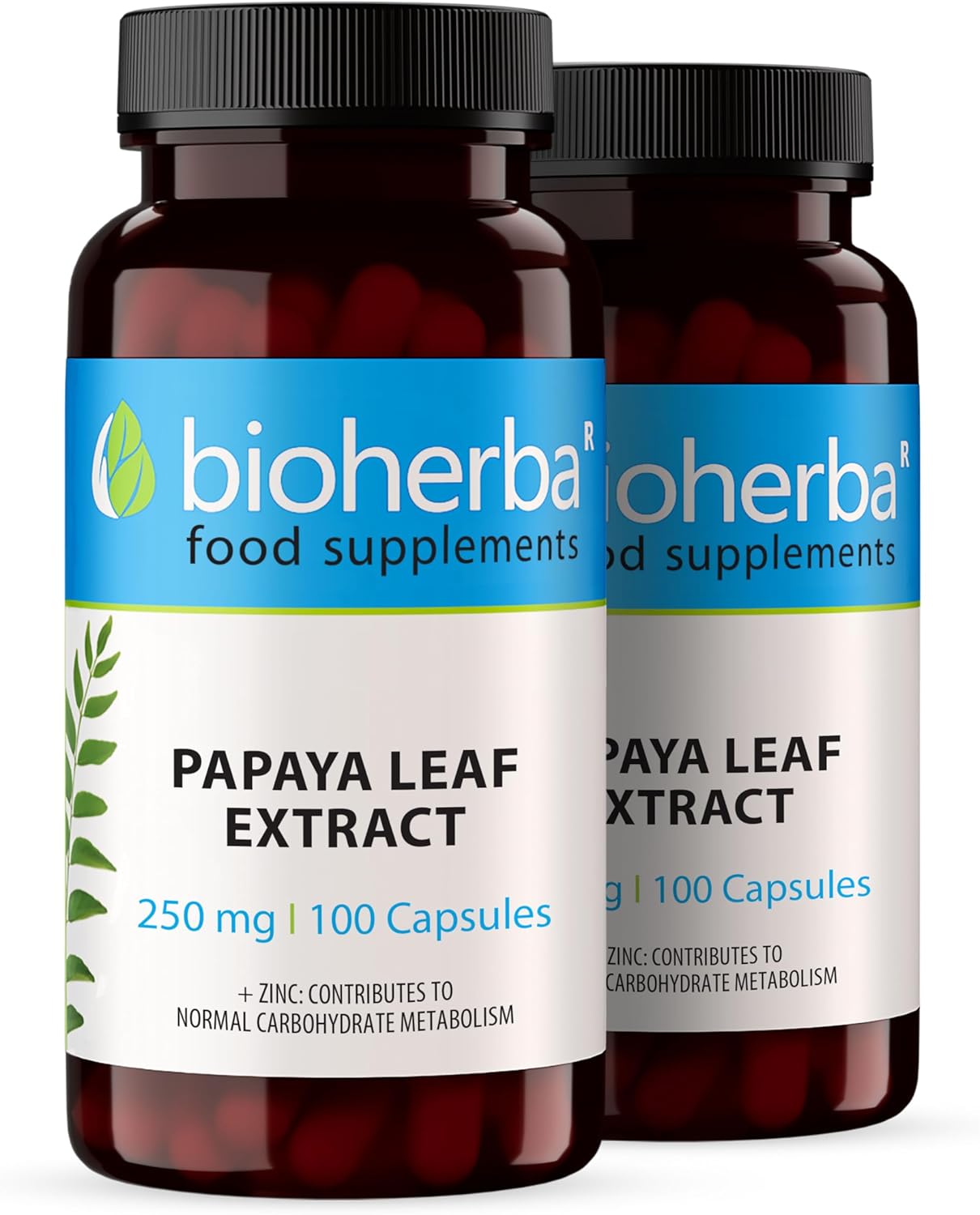 Papaya Leaf Extract 250 mg – 200 Capsules | Plant-Based Digestive Supplement with Natural Enzymes for Daily Wellness