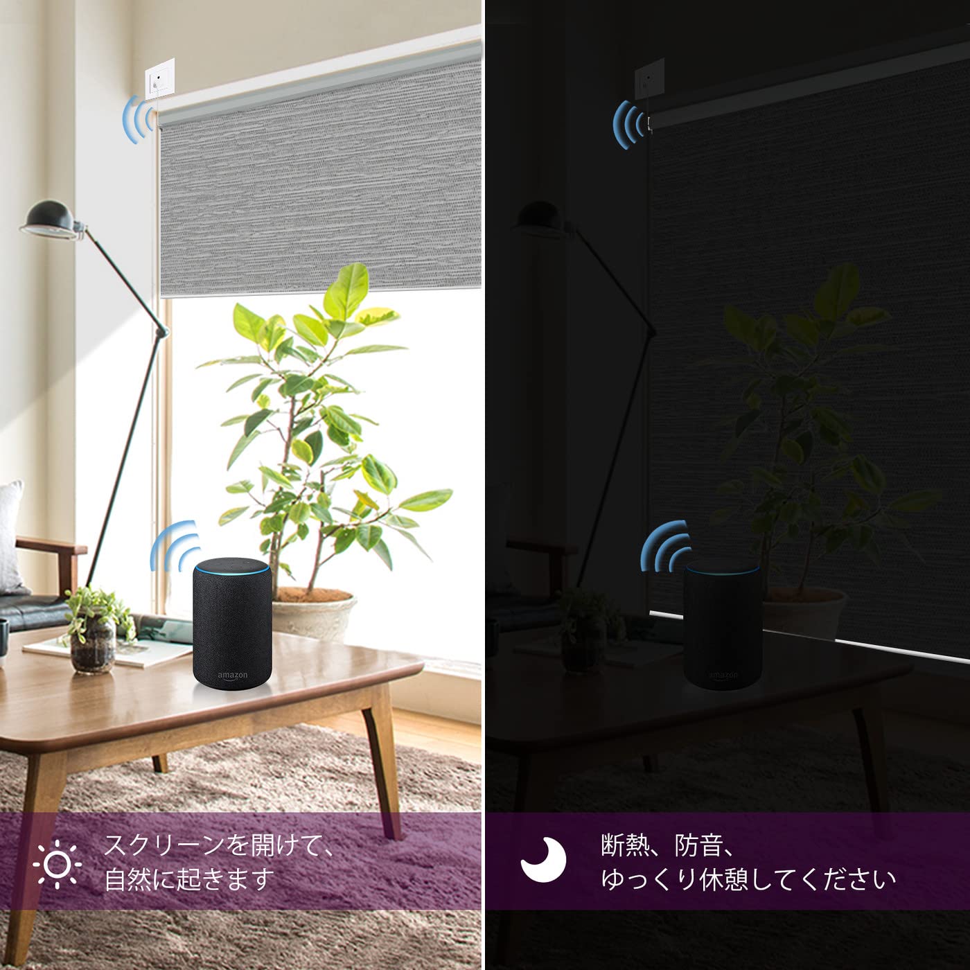 Amazon｜Graywind 電動ロールスクリーン Alexa/Google/Siri対応 完全