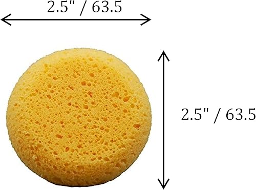 Miniatura 2 de Paquete de 12 esponjas sintéticas, esponja redonda de 2-12 pulgadas para el cuidado del cuero, mantenimiento de tachuelas de caballo y manualidades