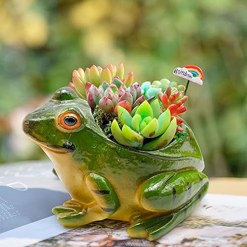 Miniatura 5 de VIKKSAER Juego de 2 macetas de rana de resina, maceta de bonsái, maceta para suculentas, maceta multiusos para decoración de escritorio en