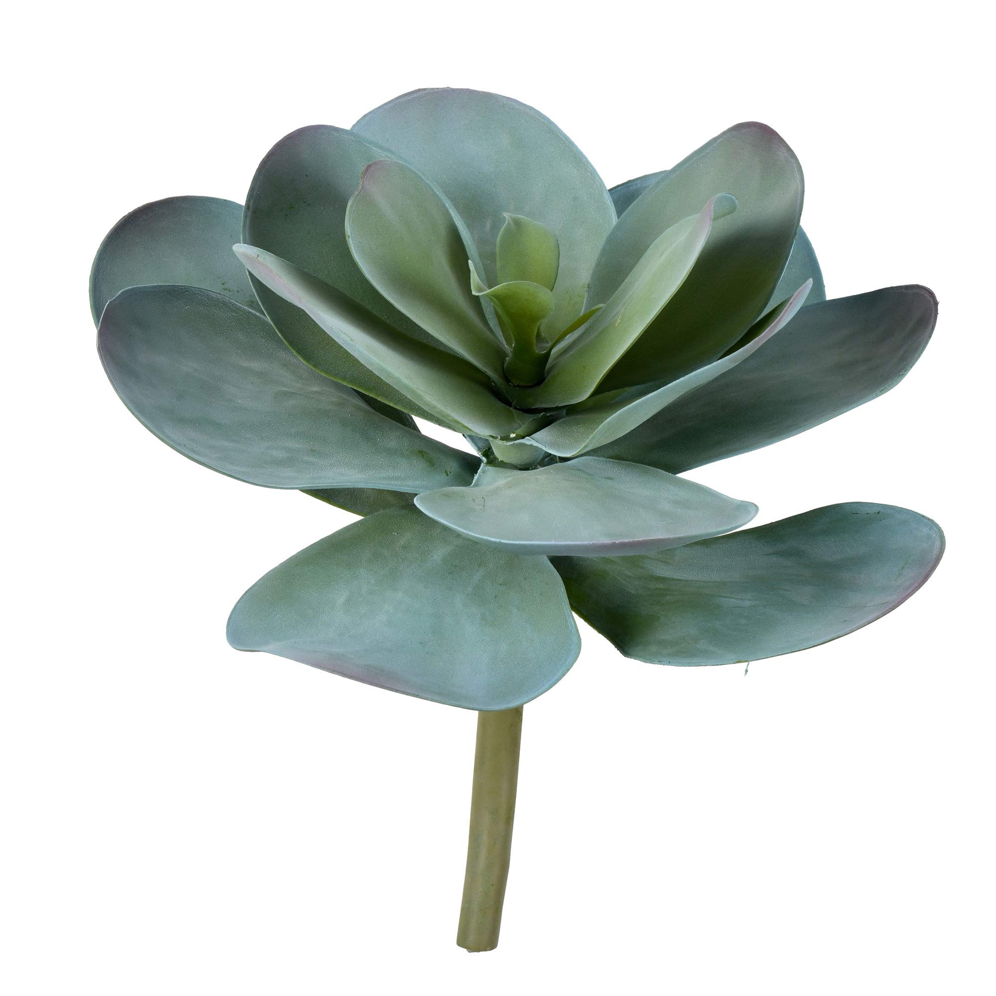 Vickerman12" Artificial Blue Succulent Stem - Faux Indoor Decorative Plant - Greenery for Home Or Office Decor - Maintenance Free - Beautiful Faux Plant - Vibrant Color