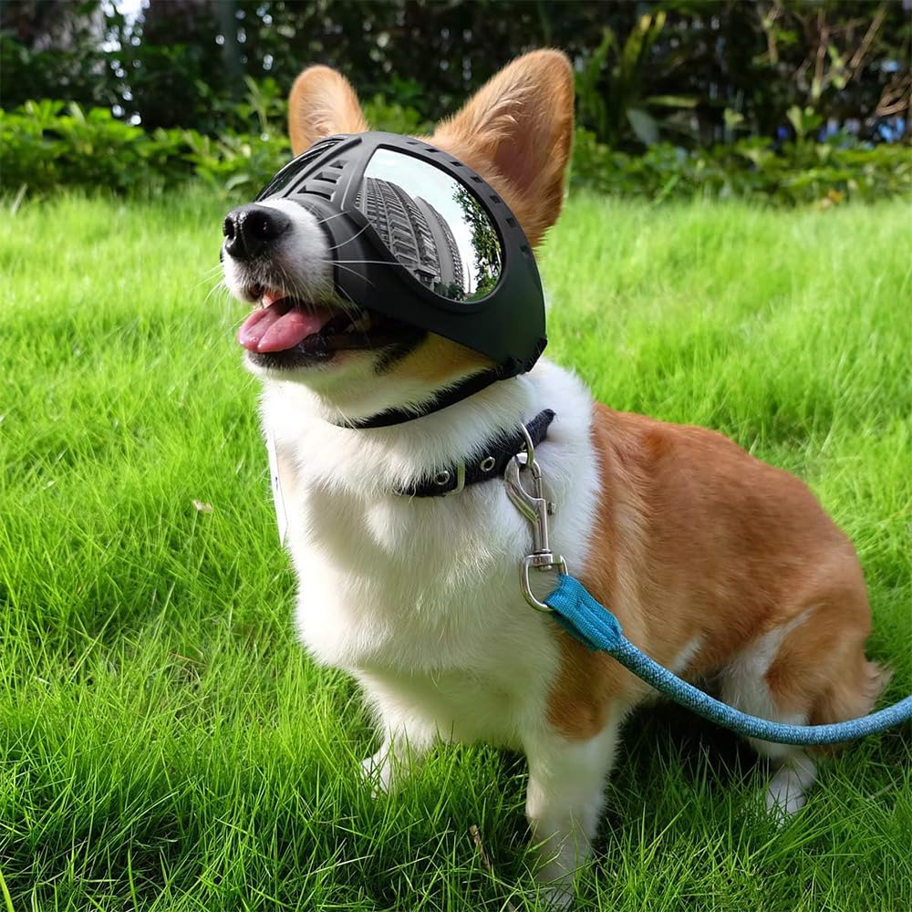 Sarini Occhiali per Cani Protezione UV Occhiali da Sole per Cani Occhiali protettivi Regolabili Antivento Impermeabili per Cani di Taglia Grande