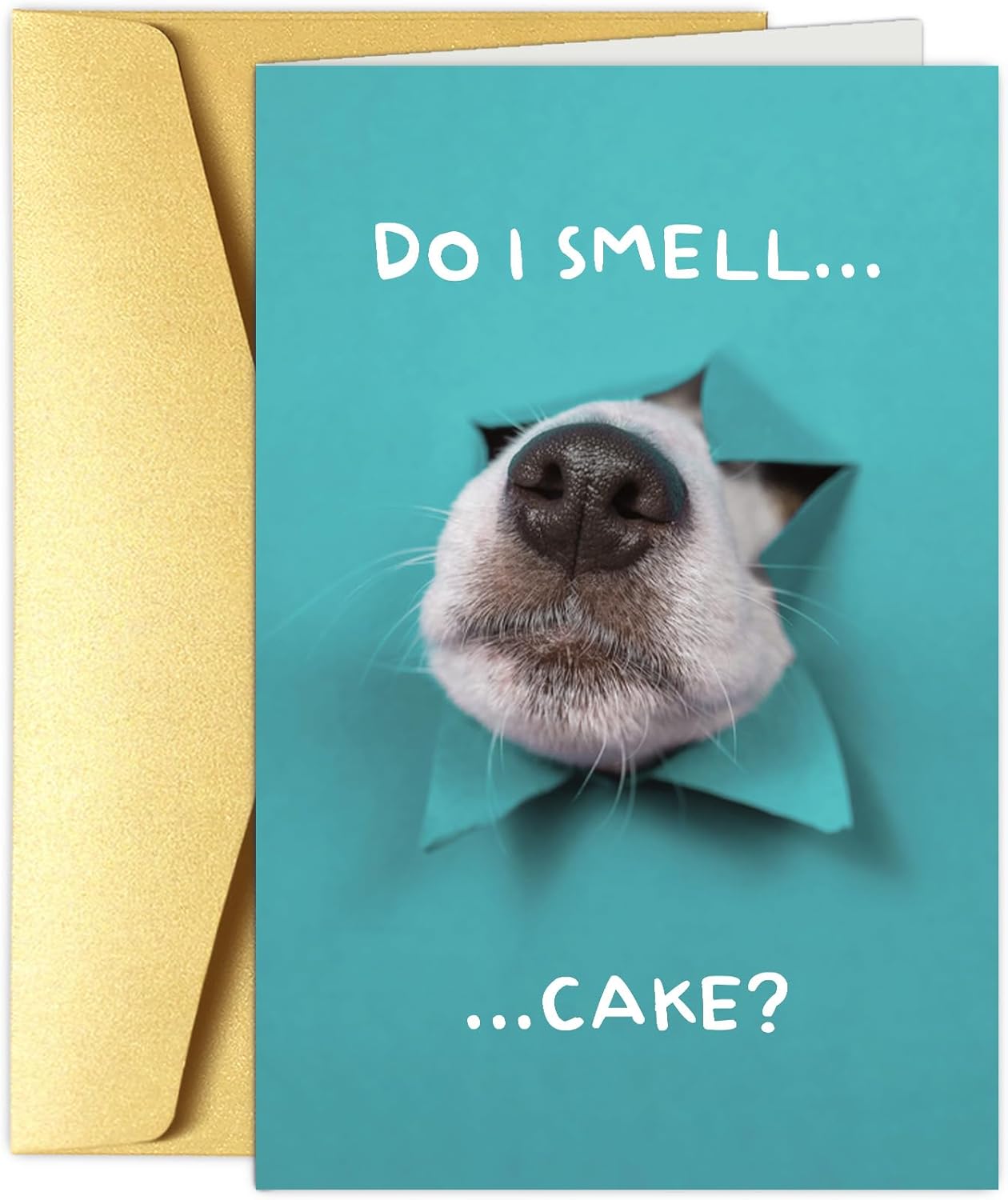 Funny Dog Birthday Cake Card, Cute Birthday Card from Dogs, Humor Dog Peeking Through Card, Do I Smell... Cake?