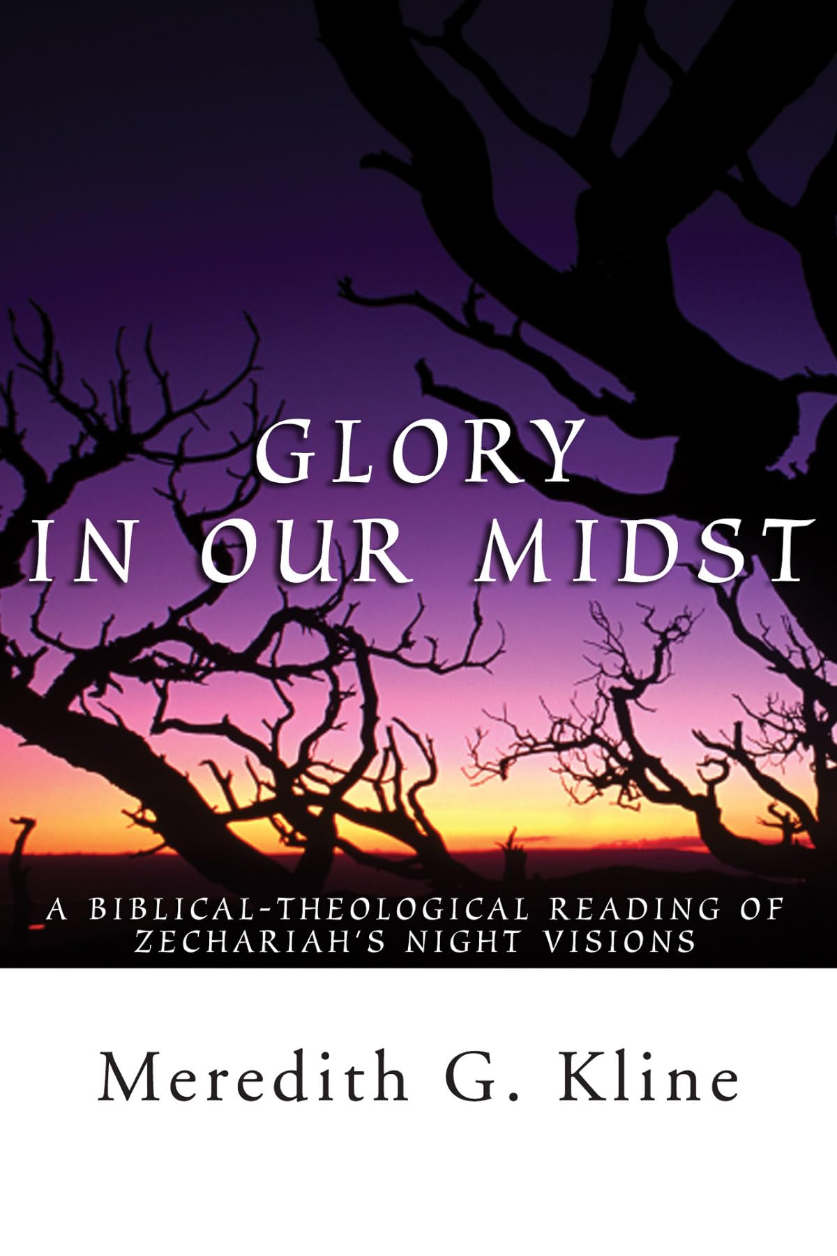Glory In Our Midst: A Biblical-Theological Reading of Zechariah's Night Visions