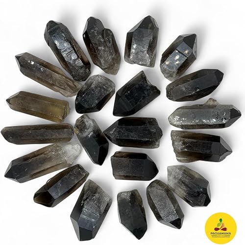 Miniatura 5 de Punta de cristal de cuarzo ahumado (1.5" - 3") Espécimen de varita ahumada natural áspera