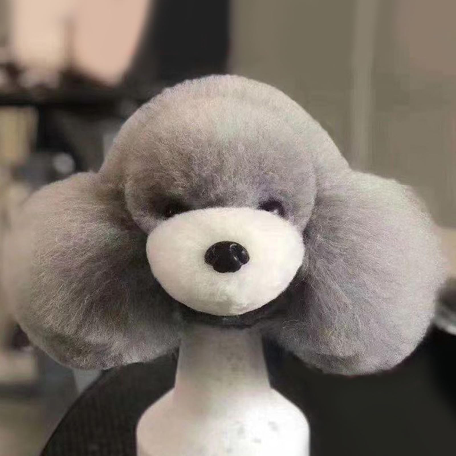 View 9