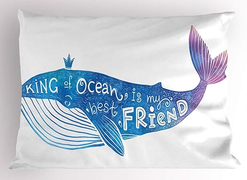 Miniatura 46 de Jukebox almohada Sham by ambesonne, impresión digital Retro. Fiesta temática de Old Antique Música Radio Set, tamaño estándar Impreso Funda de