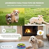 Ver la foto 6