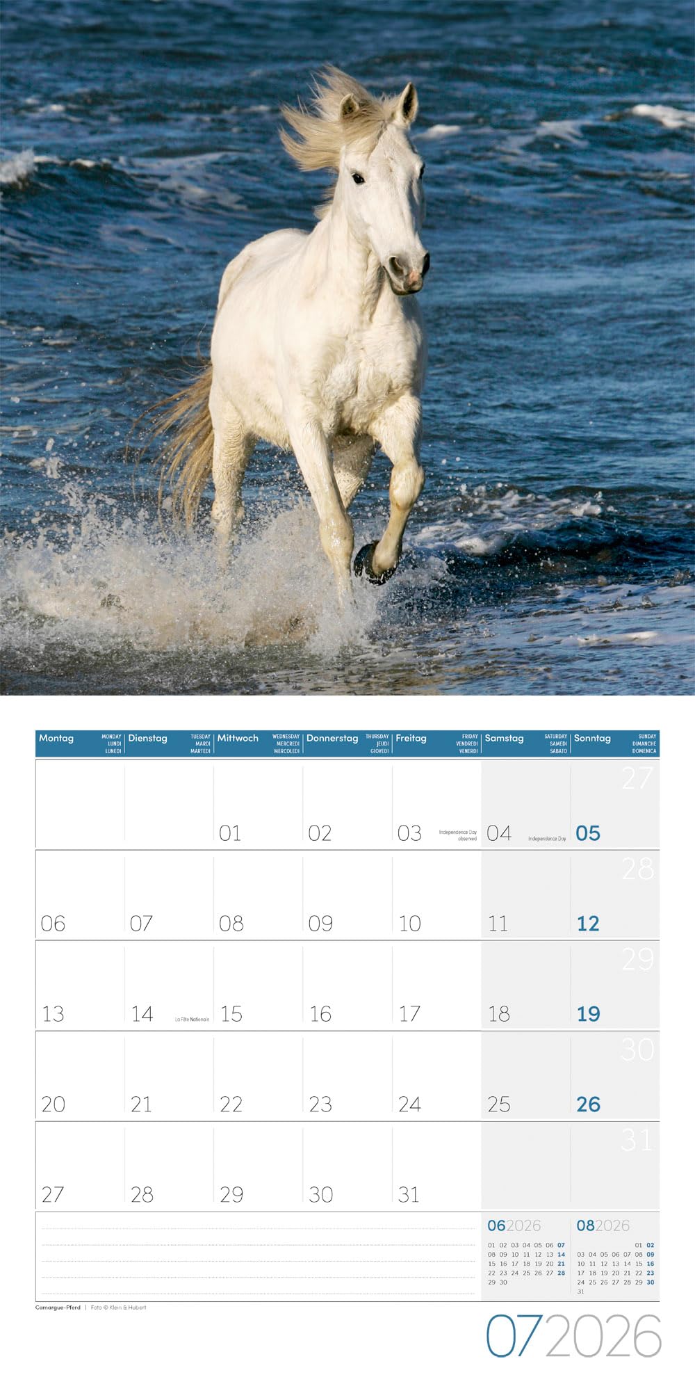 Pferde Broschürenkalender 2026 - 30x30 - Art12: Bildstarker Tier-Kalender im schlanken Hochformat (aufgeklappt 30x60 cm) | mit Eintrage-Kalendarium