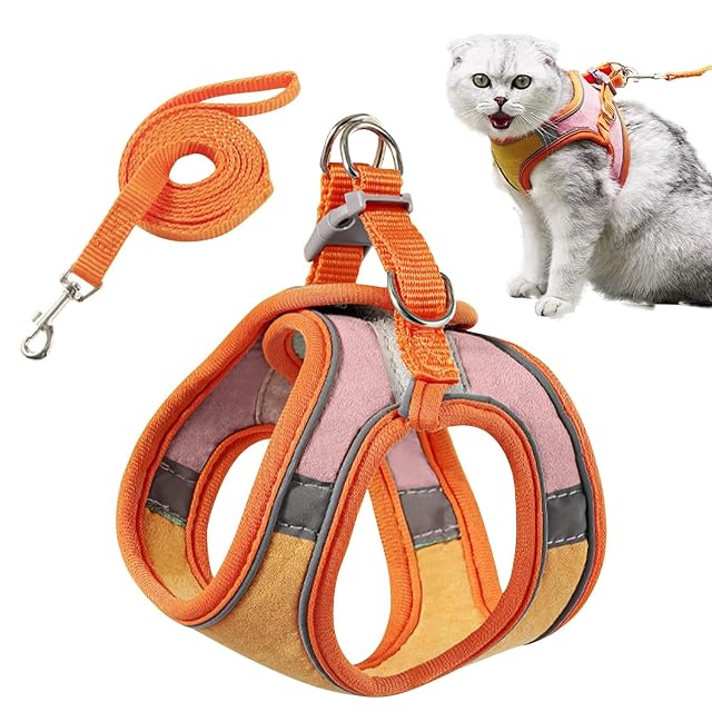 PETCUTE Arnes para Gatos Antiescape con Correa,Arnés Gato a Prueba de Escape con Tira…