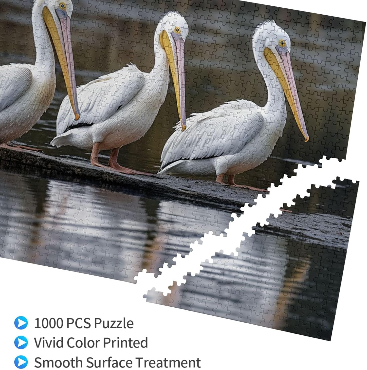 1000PCS Jigsaw Puzzle for Adults Personalized Picture Puzzle Three Pelicans Customized Wooden Puzzle for Family, Birthday, Wedding, Game Nights Gifts Animal Puzzle 29.5x19.7 inches