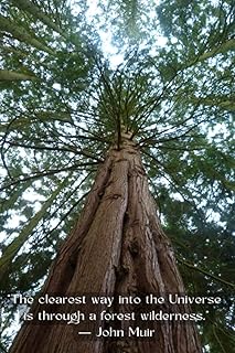 Redwood Journal with John Muir Quote: "The clearest way into the Universe is through a forest wilderness.” ― John Muir