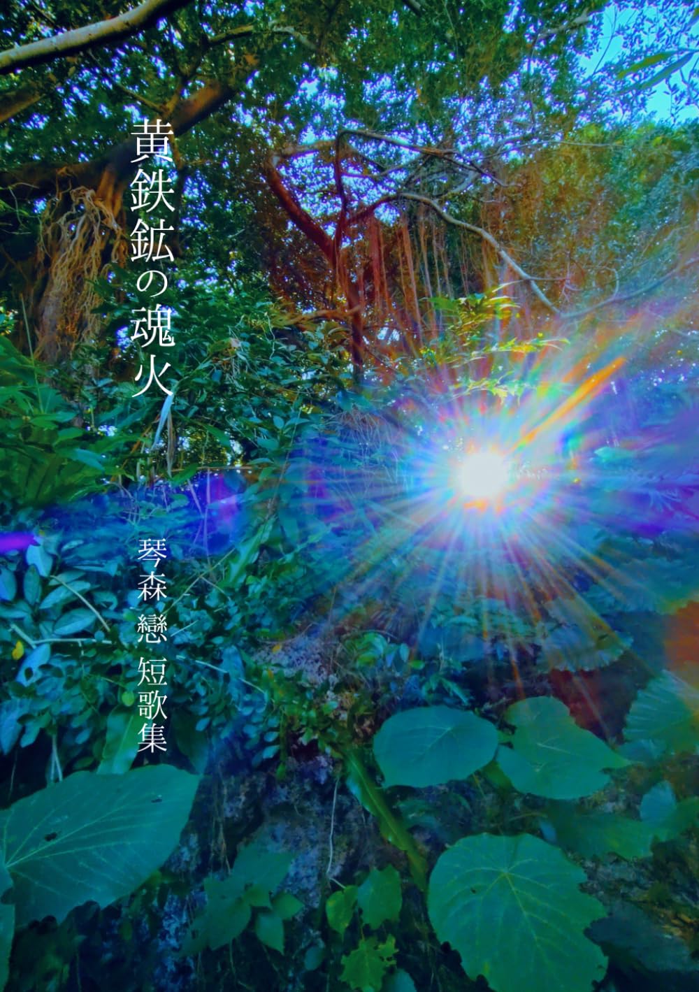 黄鉄鉱の魂火―短歌集