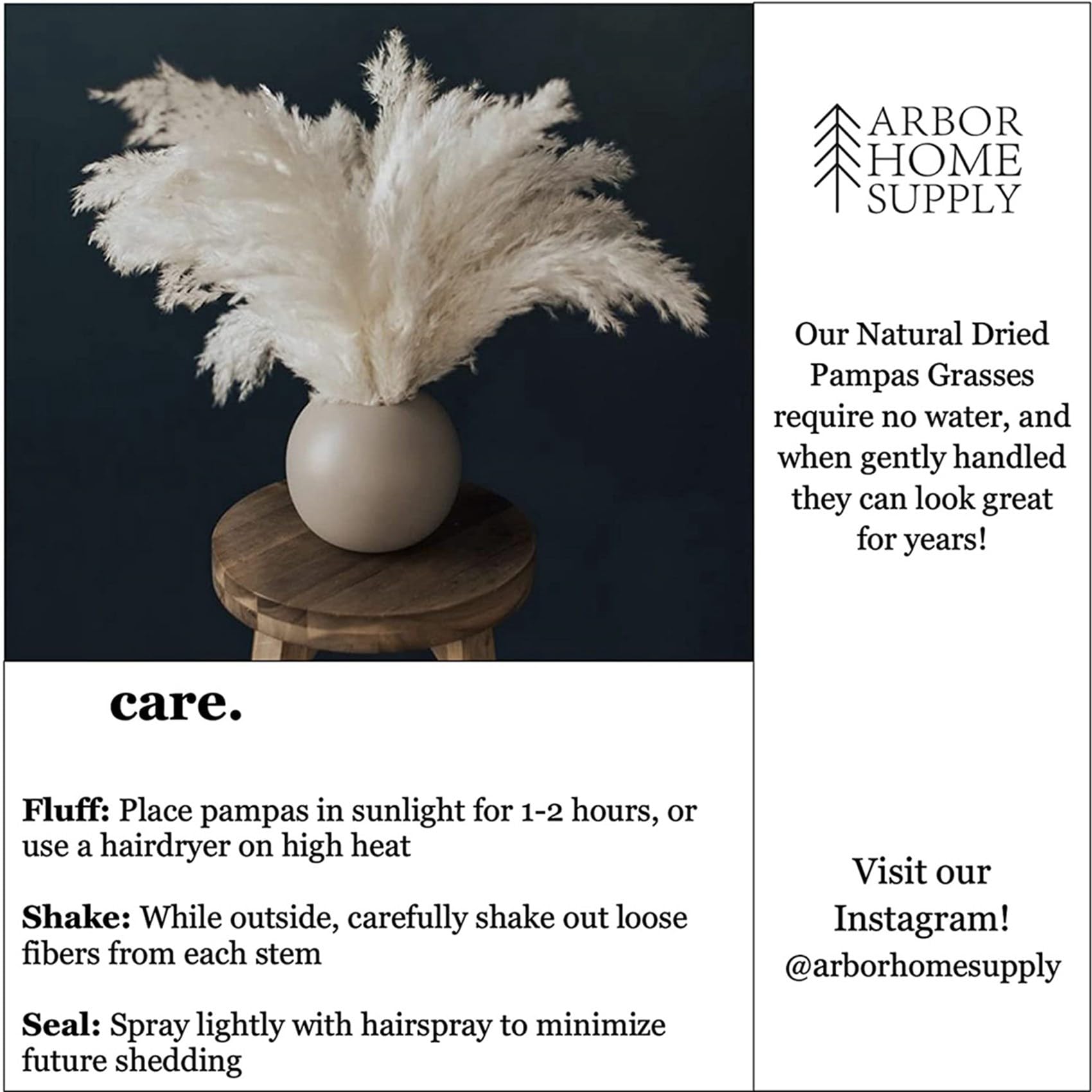 Herbe de Pampa Blanche - 50 Tiges d'herbe de Pampa Moelleuse pour Mariage, Maison et Décoration D'événement - Herbe de Pampa Séchée
