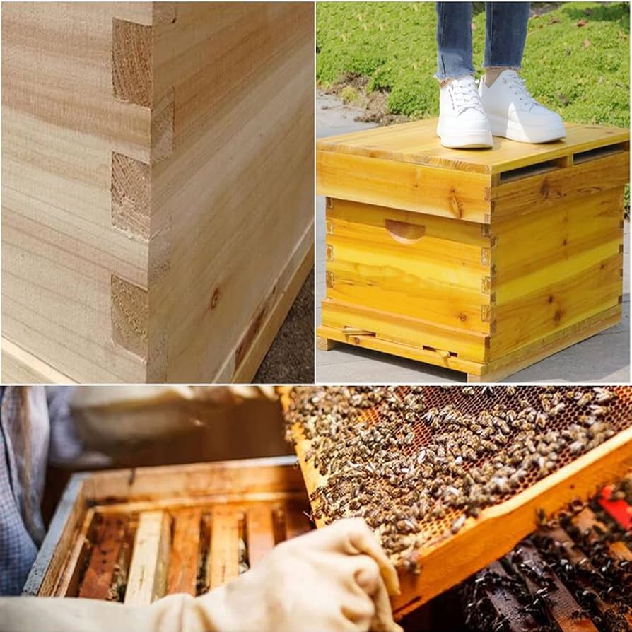 フローハイブ　蜜蜂巣箱 ミツバチ巣箱 蜜蜂飼育箱　ミツバチ飼育箱 ミツバチ養殖 ミツバチ 巣箱 蜜蜂巣箱 4/7個 フローハイブ 蜂巣 巣脾 巣礎 巣