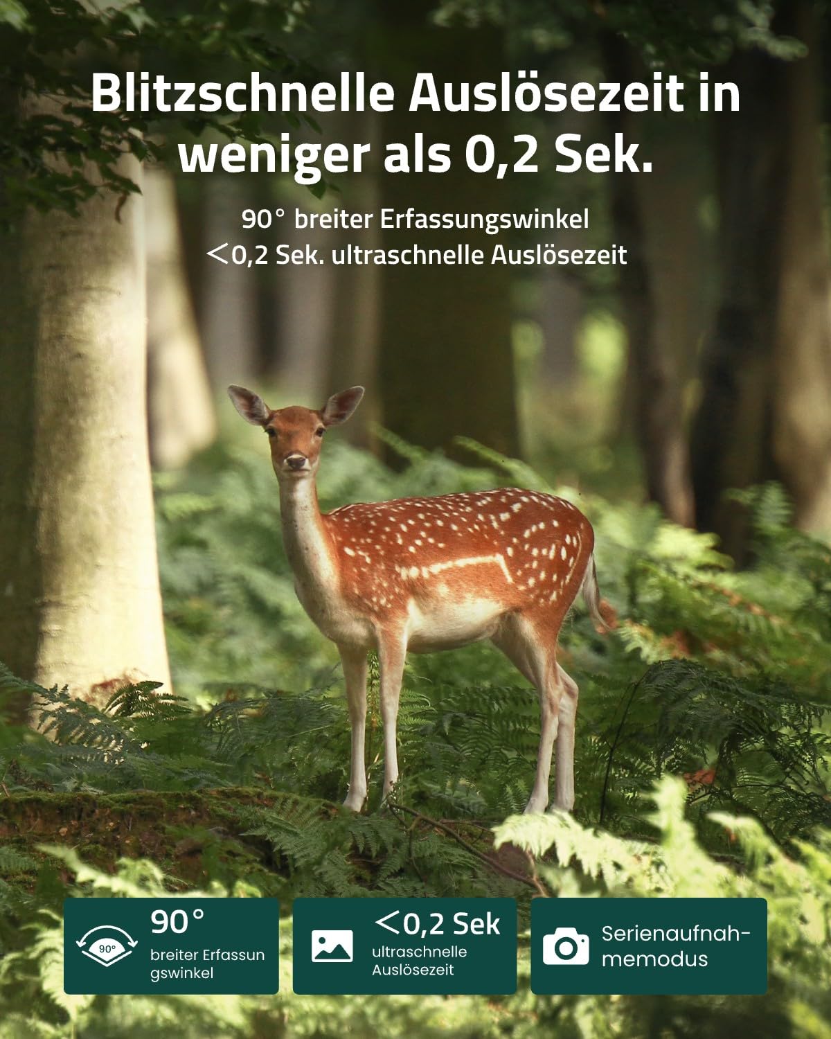 4G LTE Wildkamera mit SIM-Karte, 4K 8MP UHD, Live View jederzeit und überall, 0,2 Sek. Auslösezeit, Talon Pro+Sicherheitsbox+ Kabelschloss