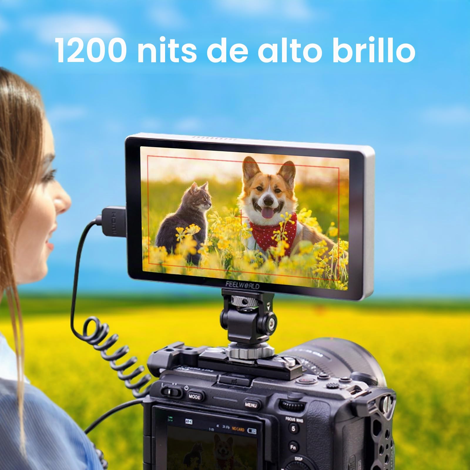 FEELWORLD P6XL 6 pulgadas 1200 nit Monitor de campo para cámara de pantalla táctil, batería integrada 3000 mAh, monitor de cámara CNC, entrada/salida HDMI 4K Full HD 1920 x 1080P, monitor LUT 3D