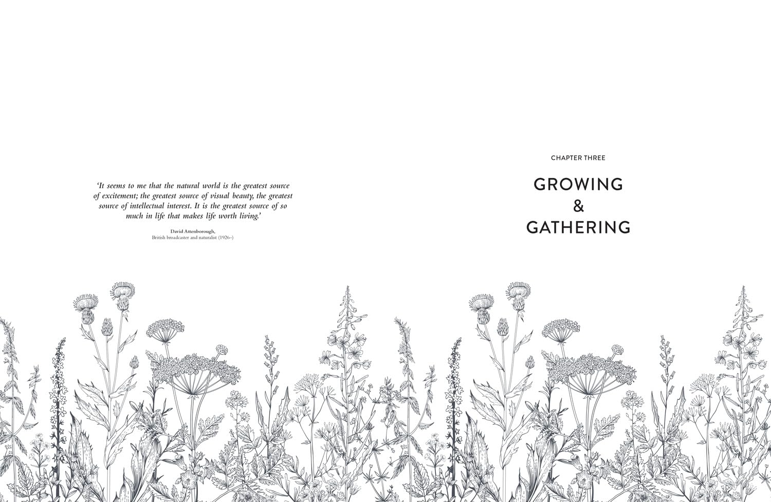 Collins Botanical Bible: A Practical Guide to Wild and Garden Plants
