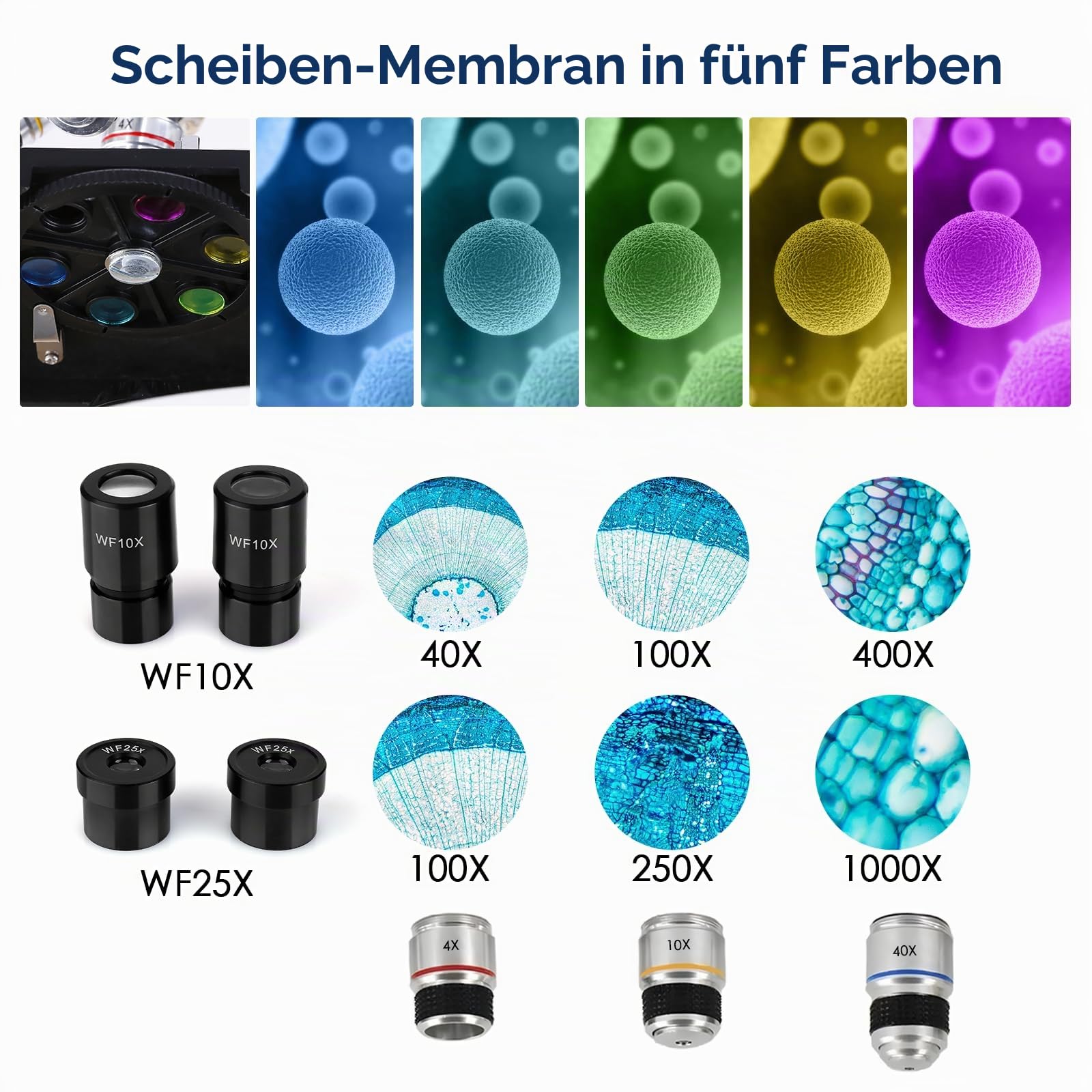 Cowiewie Professionelles Binokulares Mikroskop 40X-1000X lichtdurchlässig und reflektierend Auf- und DurchlichtMikroskop mit Okular & LED Beleuchtung, Studentenmikroskop Mikroskop mit Objektträger