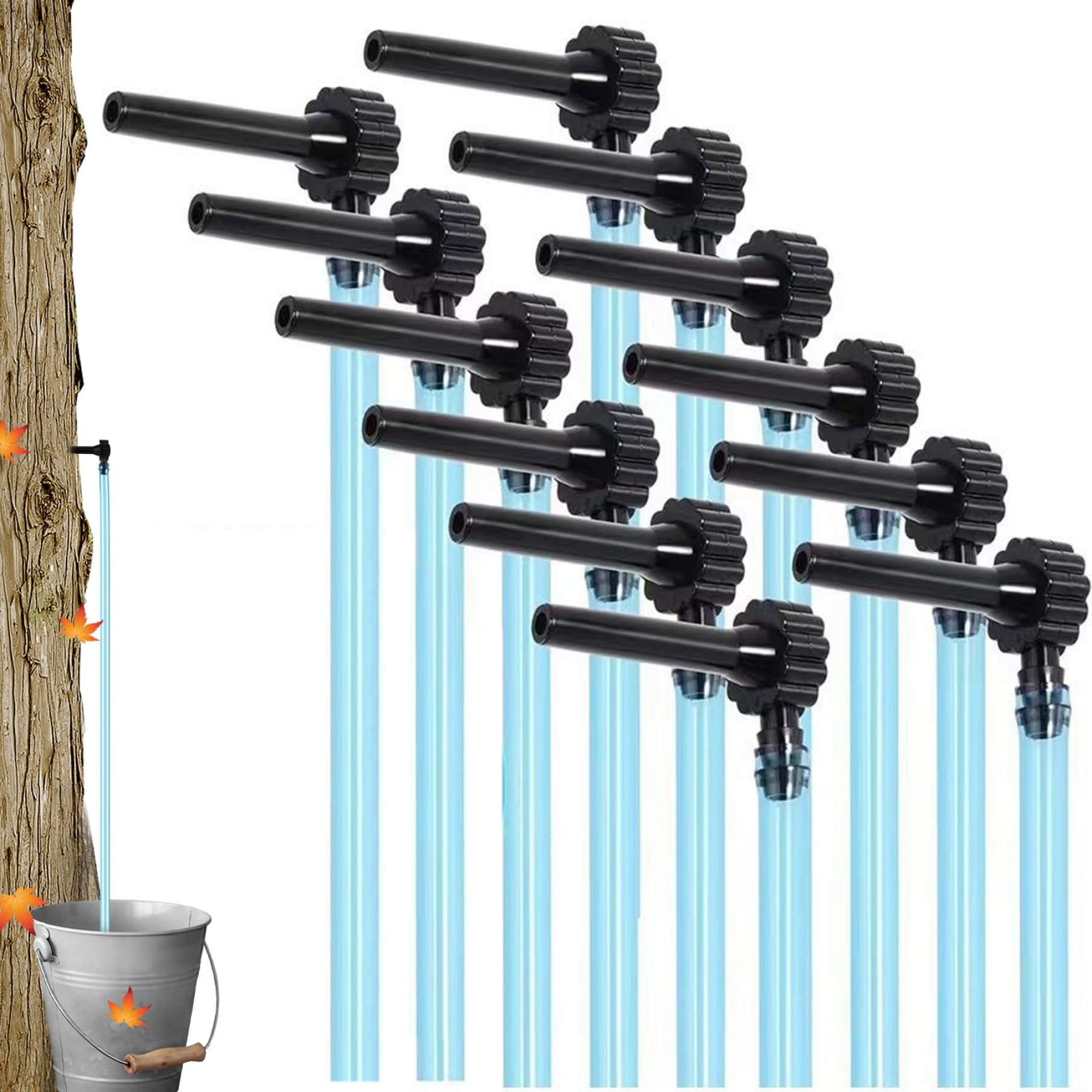Kit de taraudage du sirop d'érable outils récolte eau de sève arbres