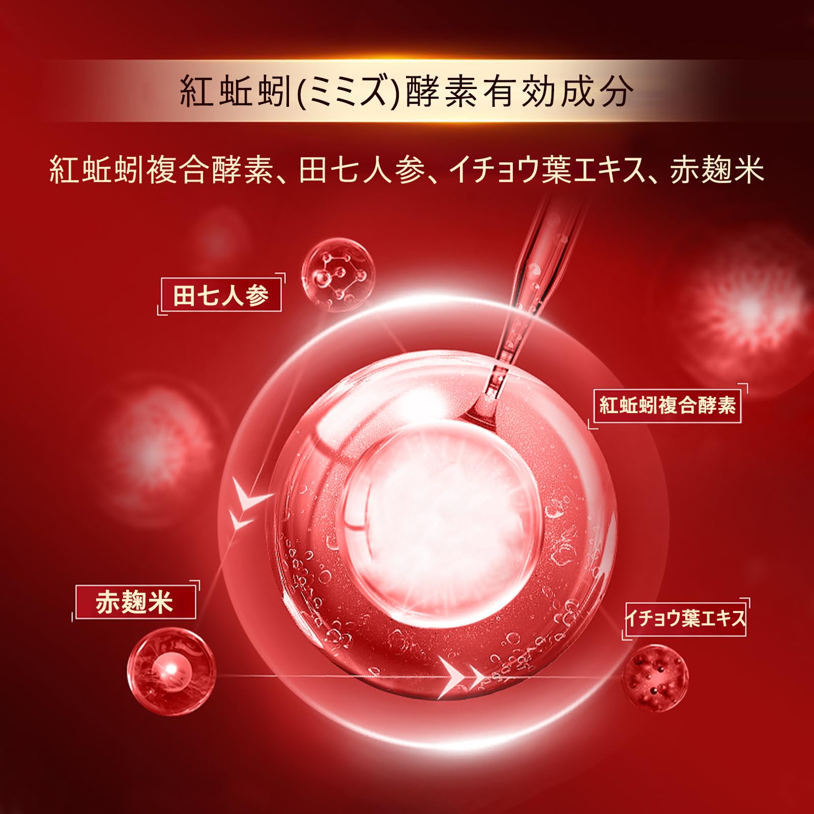 Amazon | 富山健康 ルンブルクス 紅蚯蚓酵素 DX 田七人参 Amazon | 富山健康 ルンブルクス 紅蚯蚓酵素 DX 田七人参