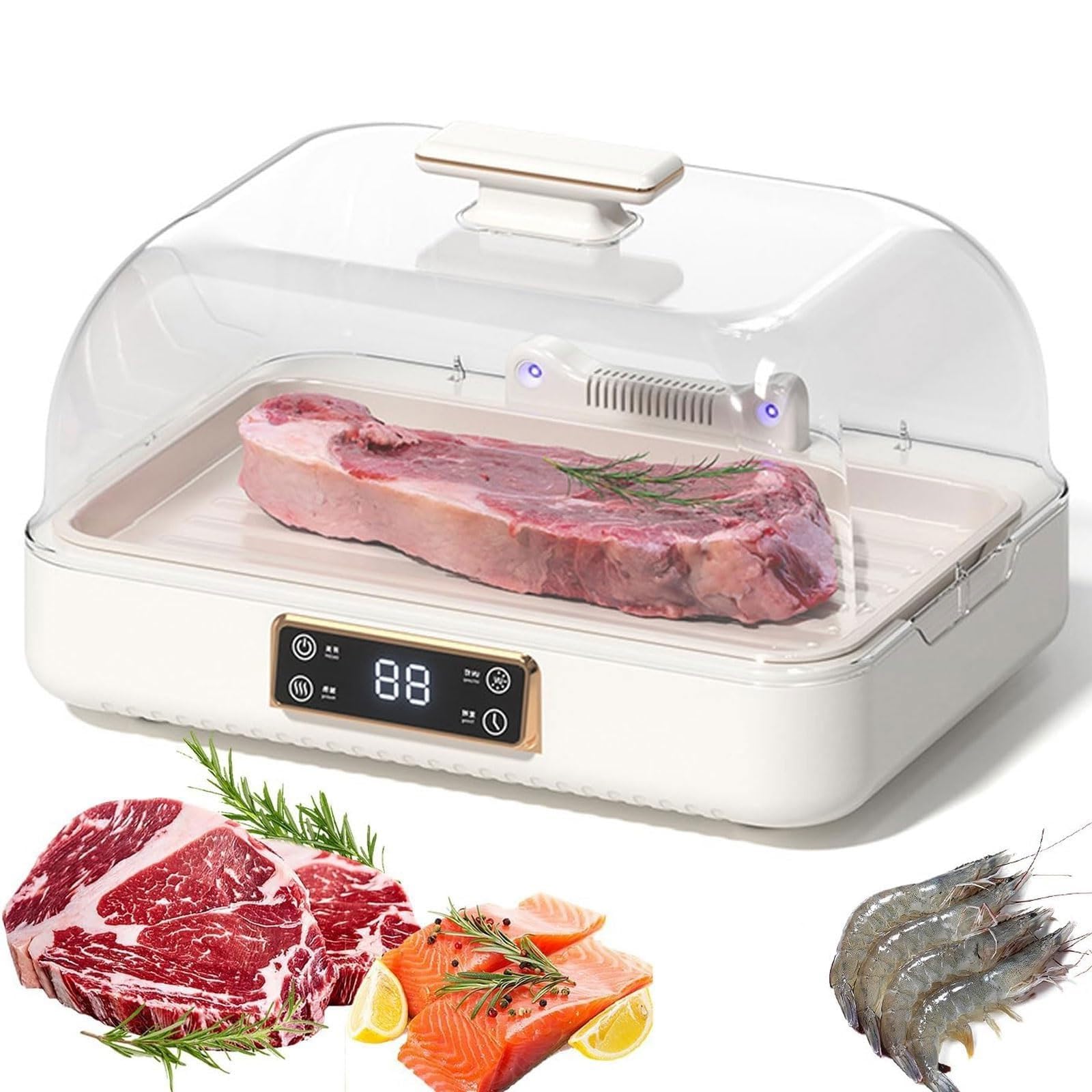 FHRKA 100W Electric Meat Defrosting Box,Heat Smart Frozen Food Thawing Box,8L Meat Defrosting Tray with 3-gear Temperature Adjustment