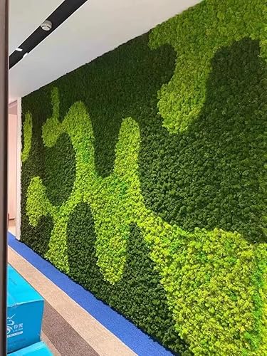 Miniatura 3 de Musgo de Reno Preservado Verde Natural Kit de Bricolaje Arte de Jardinería Decoración de Pared Decoración de Floristería Decoración de Mesa