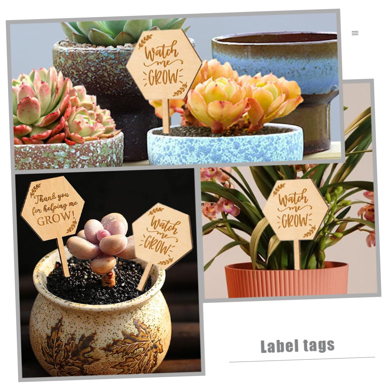 Kisangel 4 Set Marcatori Per Piante Da Etichette Per Identificare E Registrare Vasi E Aiuole Design Pratico E Facile Da Usare 40 Pezzi*4