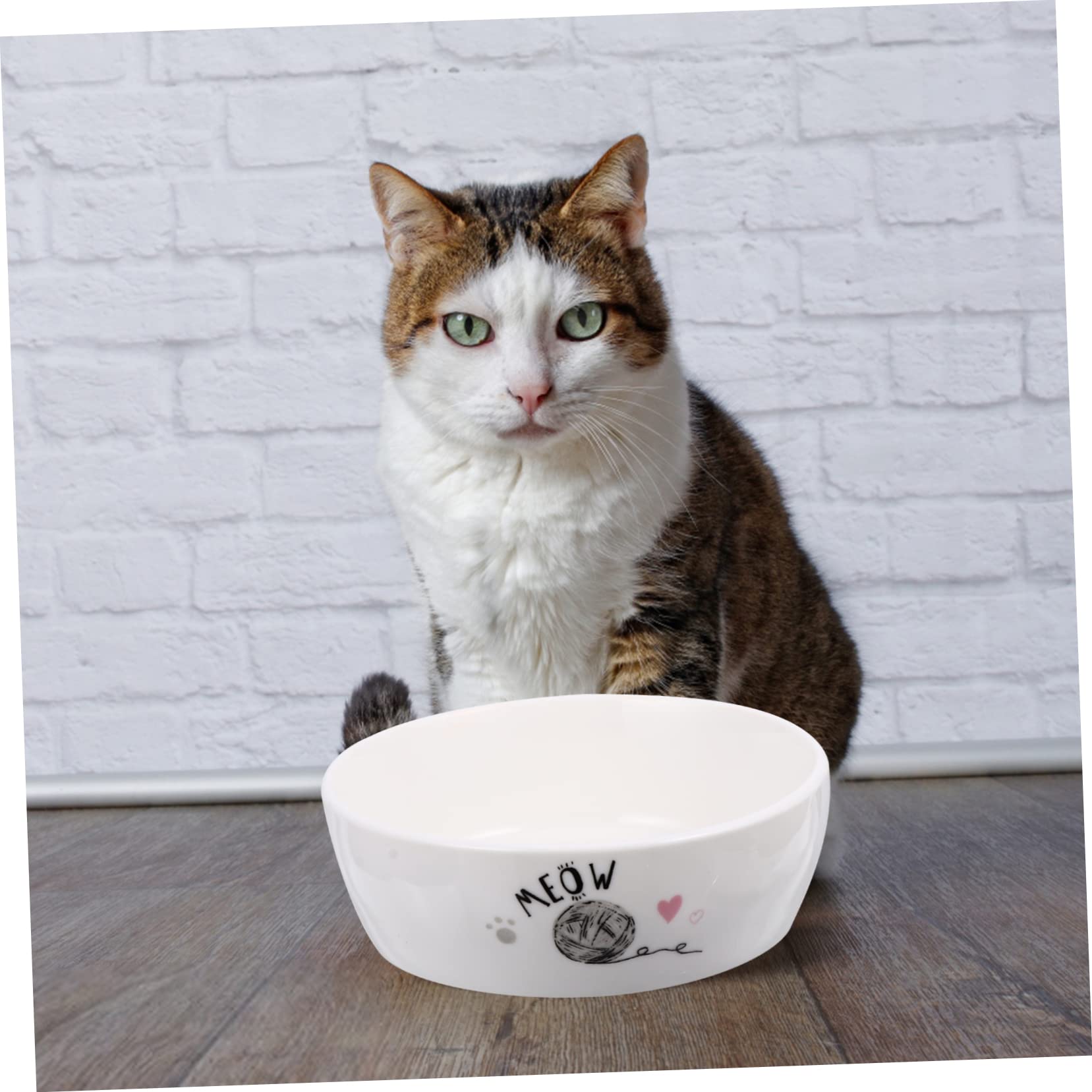 BESPORTBLE Bol de Chat Bols de Chat Bol d'eau pour Chat Nourriture pour Chats Non conteneur Croquette Chat récipient Chat Alimentation Arc de Chiot Arc de Chat Chiot céramique Blanche