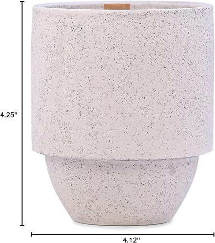 Vista 85 de Paddywax Candles - Vela perfumada de la colección Parks Juegos Olímpicos,Grandes Montañas Humeantes,Acadia,Secoyas,Glaciar,Yosemite,Gran