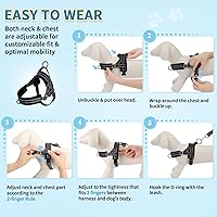 Vista 9 de SlowTon - Juego de arnés y correa para perros pequeños sin tirones, arnés suave ajustable para cachorros en el cuello y el pecho, arnés reflectante
