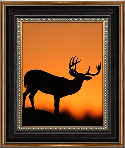 AUEAR, Marco de fotos de 8 x 10 pulgadas para fotos de 8 x 10 pulgadas sin paspartú, estilo vintage, montaje en pared (negro y dorado ornamentado)