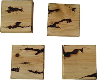 Wooden Beverage Coaster Set of 4 - Fractal Wood Burning - Perfect for Hot and Cold Beverages Such as Coffee, Tea, Beer, Cups, and Glasses - Perfect Eco Friendly Gift (Set of 4 Coasters)