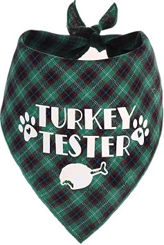 Thanksgiving Bandana for Small Medium Dogs, Turkey Taster Green Pet Scarf