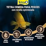 Ver la foto 6