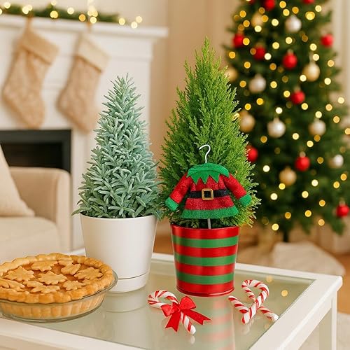 Miniatura 5 de Cono de ciprés de limón vivo de 4 pulgadas con elfo Ideas de decoración de árbol de vacaciones 2025, regalo de Navidad para mujeres y hombres