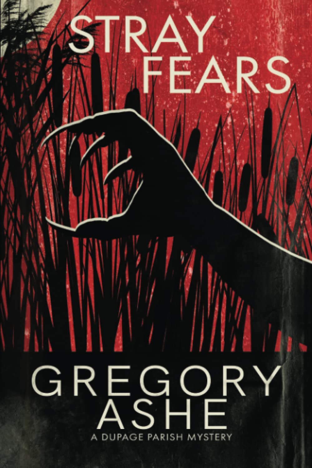 Buy Stray Fears: 1 (The Dupage Parish Mysteries) — BookShops.in