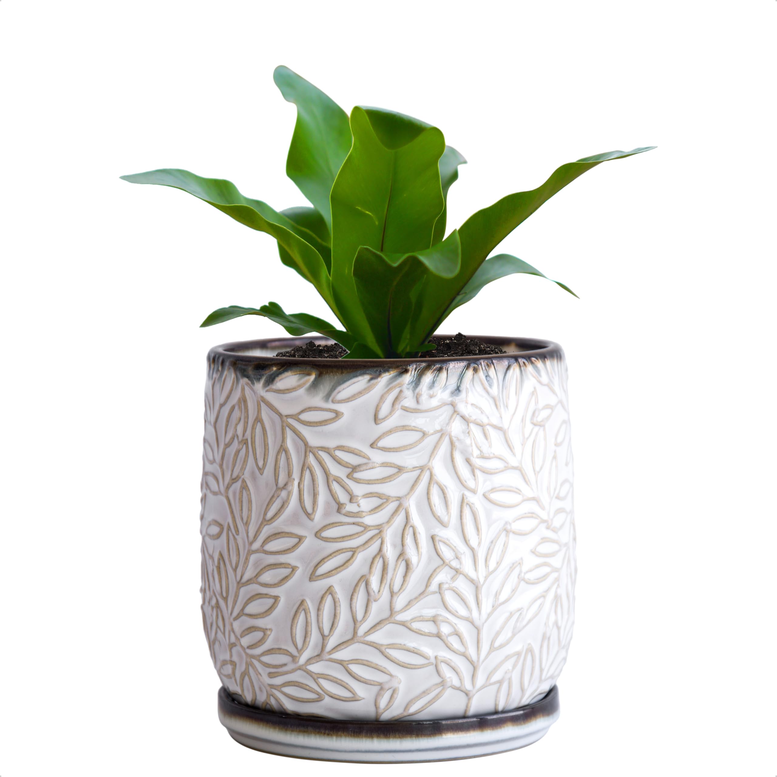 Amazon.com : D'vine Dev 5 Inch Embossed Leaves Stoneware