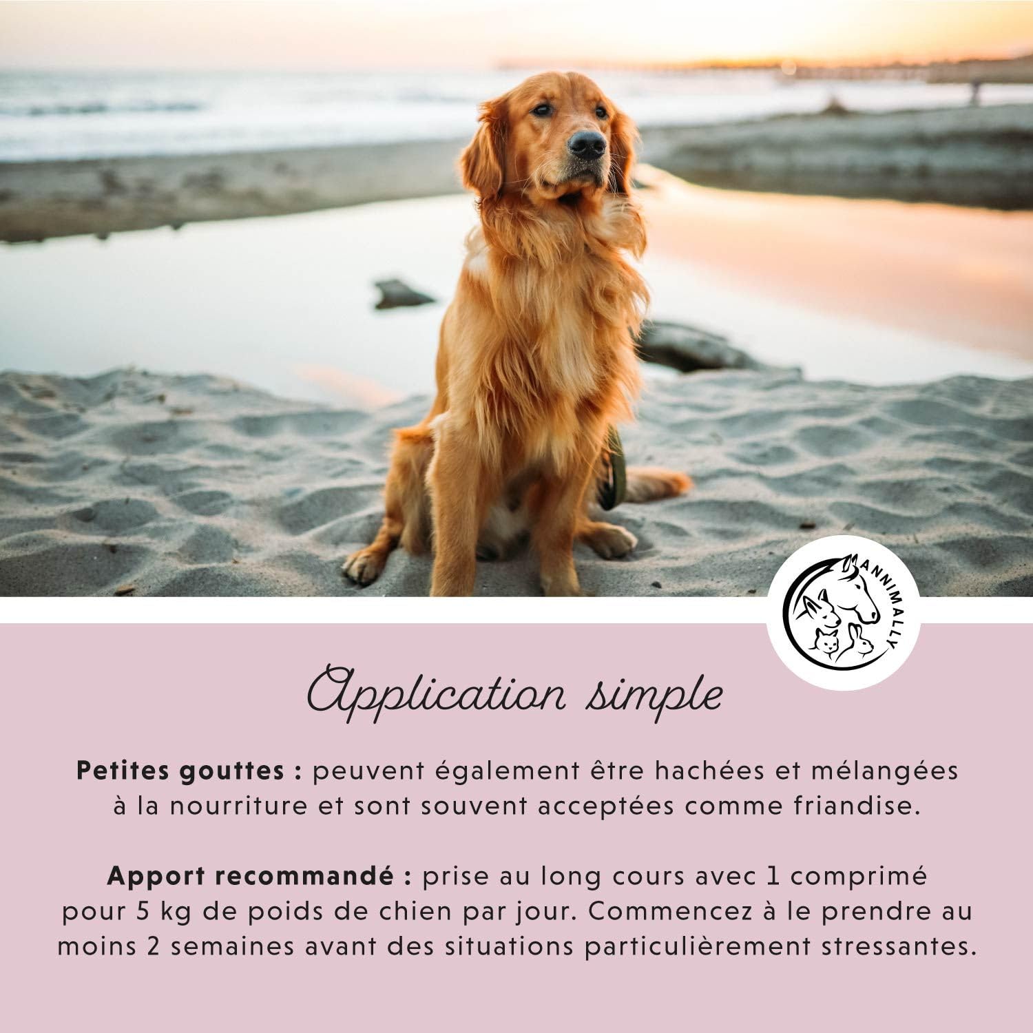 Anti Stress Chien Chiens - Comprimés de Bien-Etre calmant pour Chien avec valériane, millepertuis, L-tryptophane - 120 comprimés pour l'Anxiété & pour Le Voyage - complement Alimentaire Chien