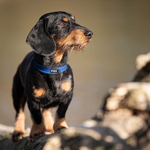 Miniatura 8 de Fida Juego de collar de perro de 145 a 19 pulgadas con correa de perro de 4 pies correa de perro resistente y juego de collar para perros medianos