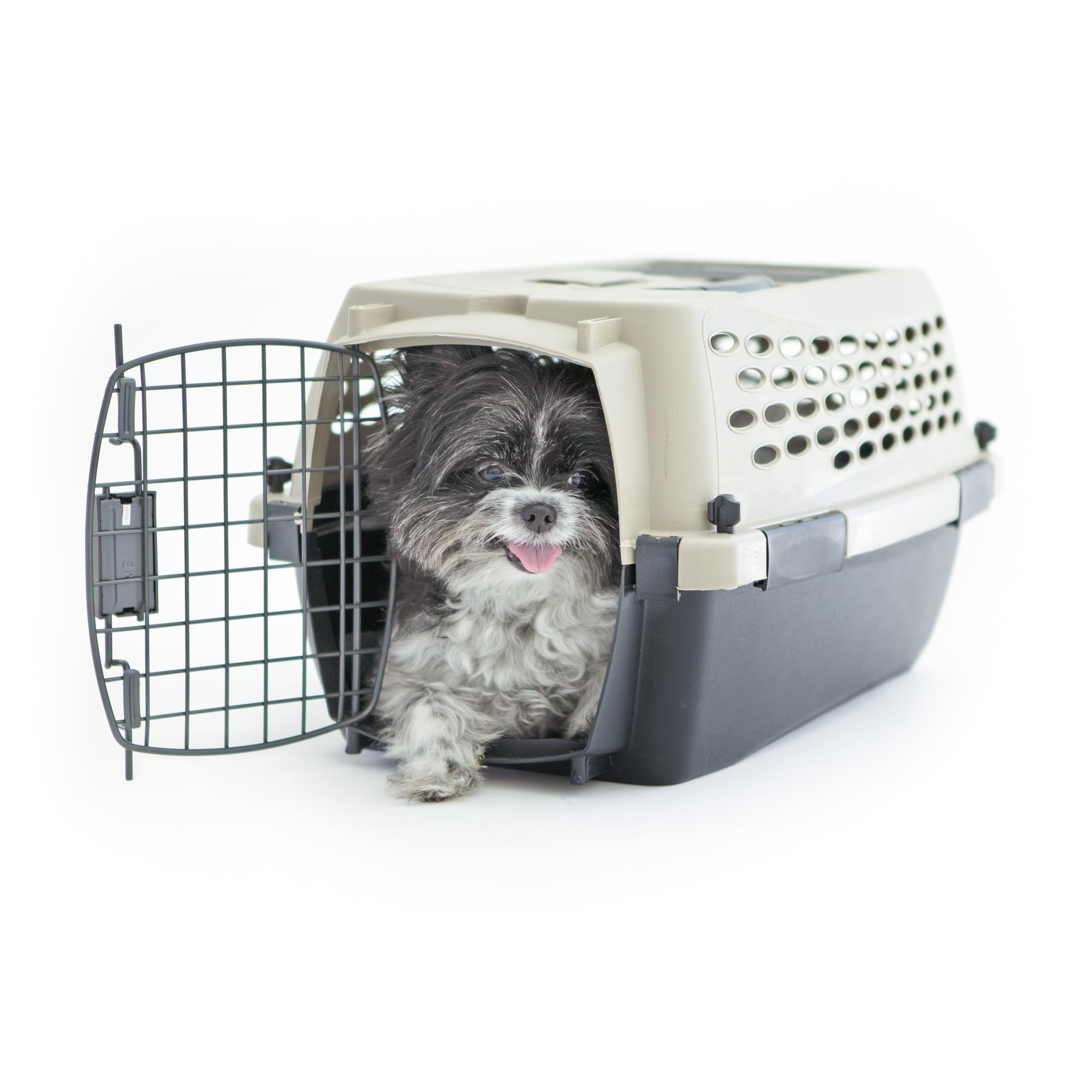 Amazon.com: Petmate Vari Dog Kennel Portable Airline-Friendly