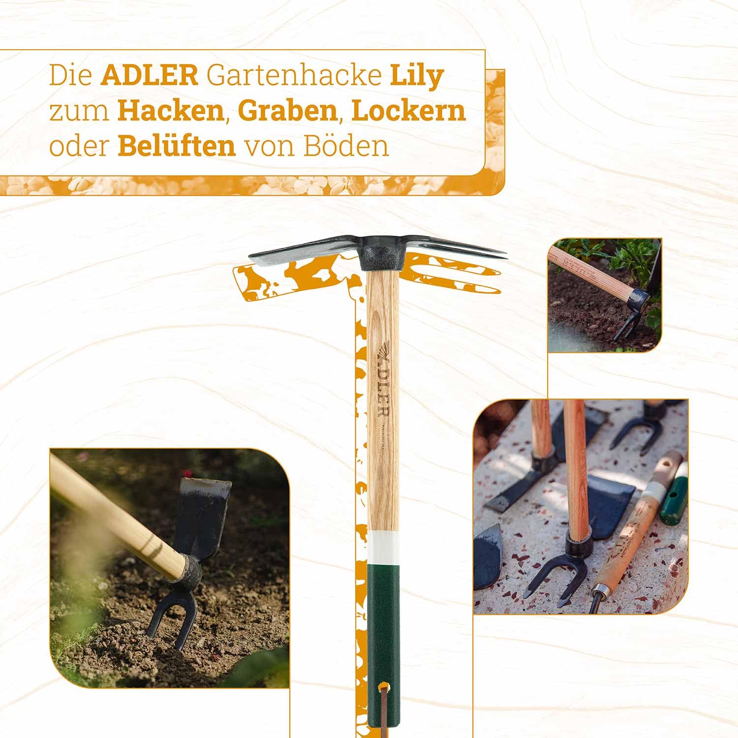 ADLER "Lily" zappa da giardino a 2 denti – Acciaio forgiato C45 manico in frassino (S/M/L) – Made in Germany – Per allentare e scavare – Legno FSC®, durevole e di alta qualità (bianco/marrone, L