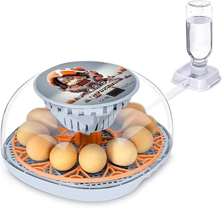 Mechachick 12-Egg Smart Incubator with Auto Turner - Precise Temp Control for Chicken, Duck, Quail Hatching by WYD2ANG