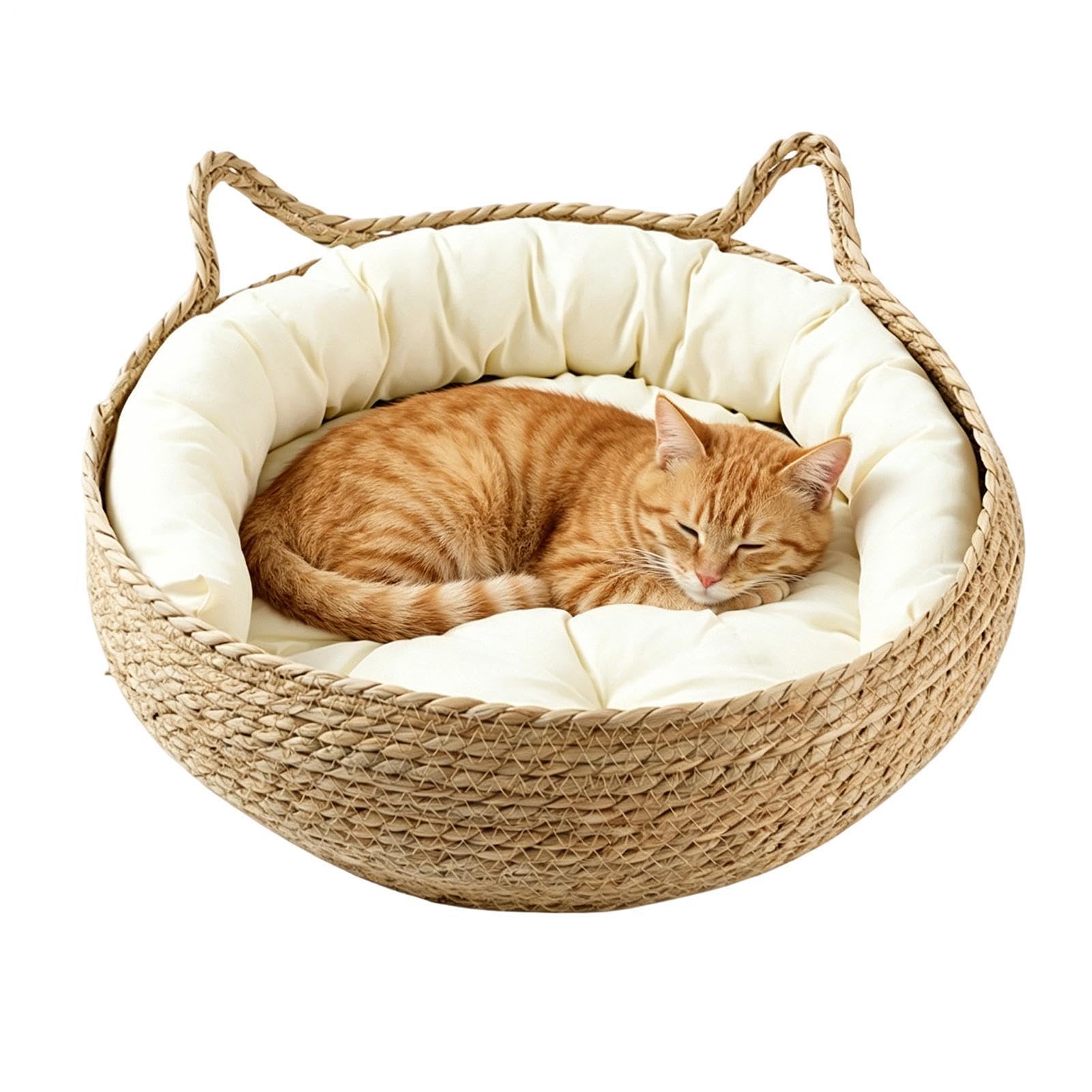 Cama rascador para gatos de diseño natural transpirable para el hogar moderno