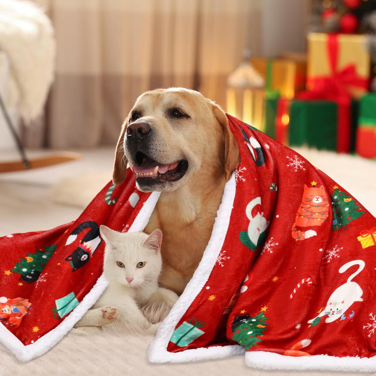Christmas Throw Blankets 50 x 60 Inch Xmas Sherpa Throw Plush Holiday Flannel Warm Soft Blankets and Throws for Xmas Gift Home Couch Bed Sofa(Red,Cat) - Image 5