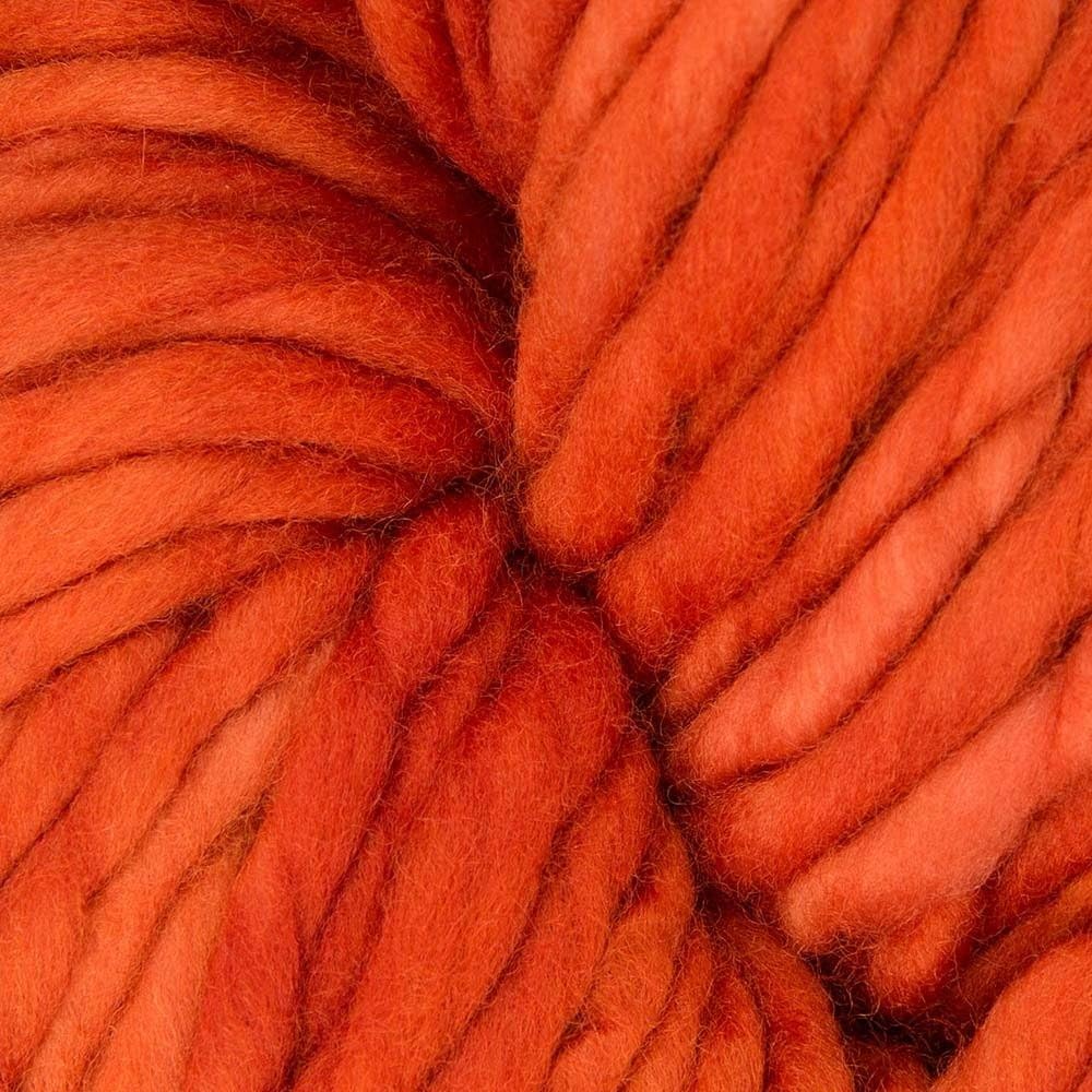 Malabrigo Rasta - Glazed Carrot (016)