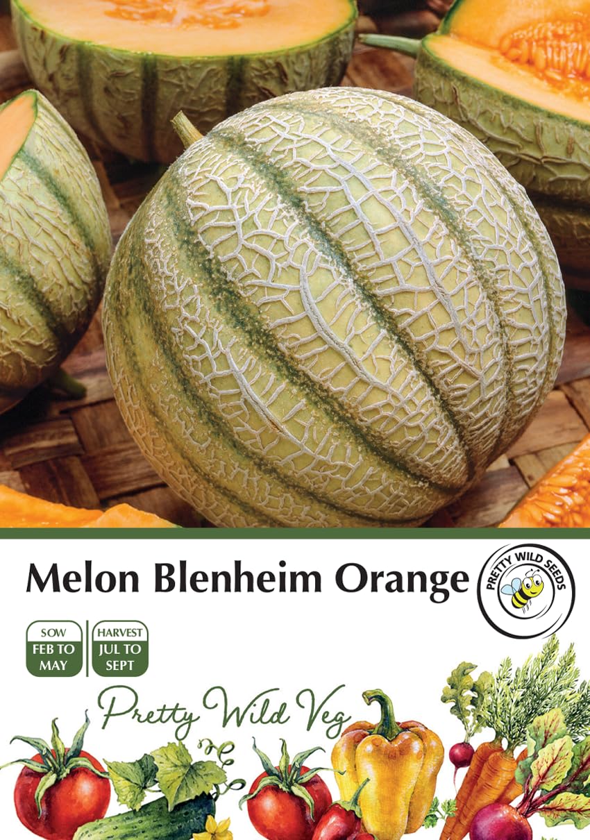 Cucumber Cucamelon Seeds in Pictorial Packet from a UK Seller Cute Fruits with Unique Crunch & Flavour — view 47