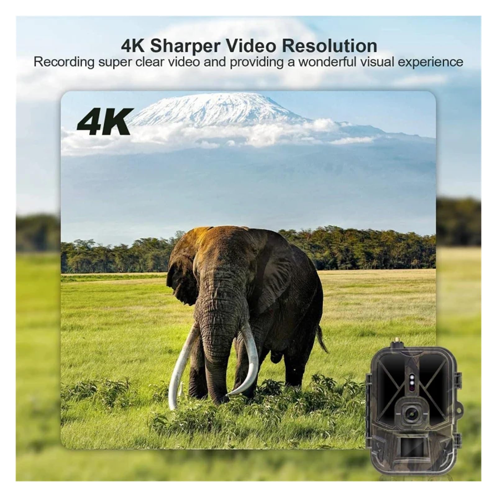 4G HD Wideo Na Żywo Bateria Litowa Komórkowa Kamera Obserwacyjna 50MP 4K Bezprzewodowa Aplikacja Do Gier Usługa W Chmurze Wodoodporna IP66 Wildlife Cam WyraźNe Obrazy I Filmy